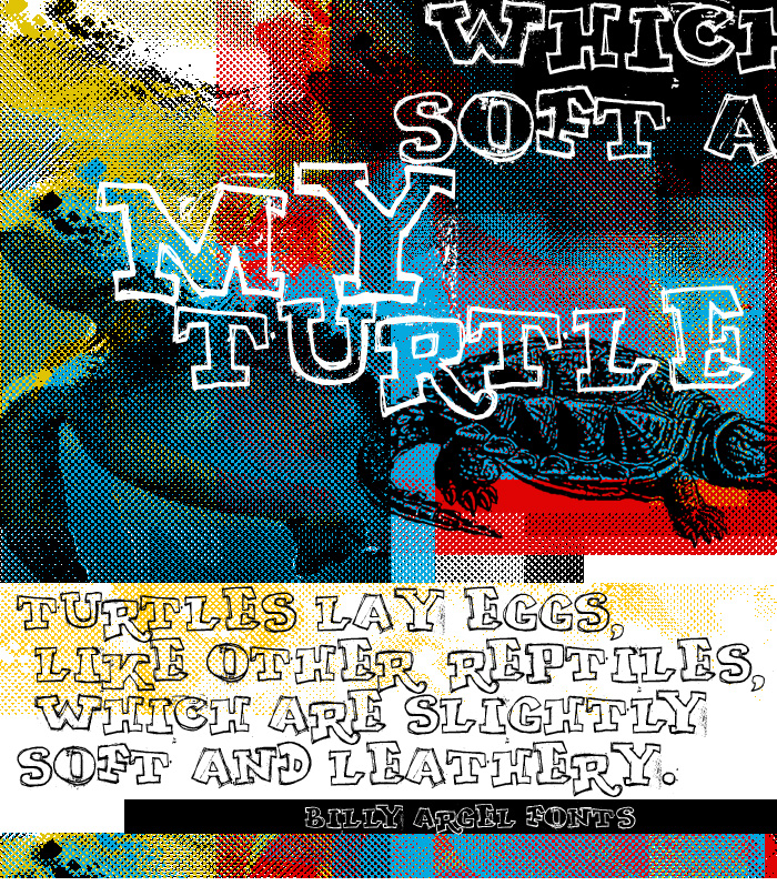 Illustration for My Turtle font