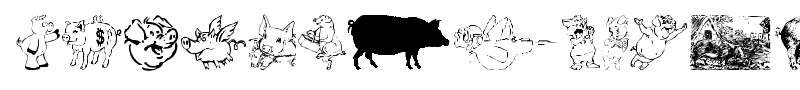 Ein Schwein font