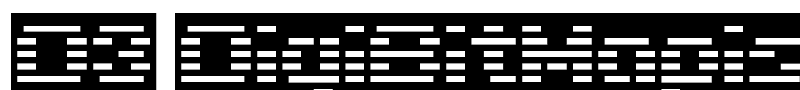 D3 DigiBitMapism type C wide font